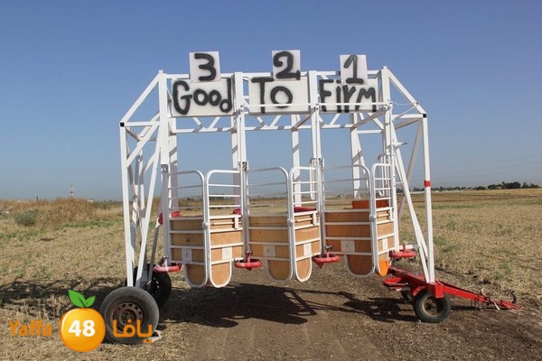 horse race 0602 (7).JPG